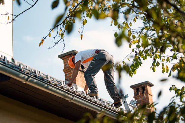 Best Chimney Flashing Repair  in Sudan, TX